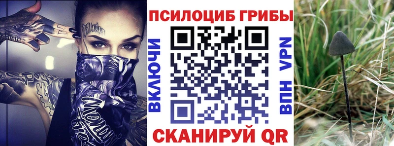 Галлюциногенные грибы Magic Shrooms hydra зеркало Санкт-Петербург